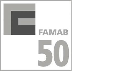 famab50_2013_gross.jpg